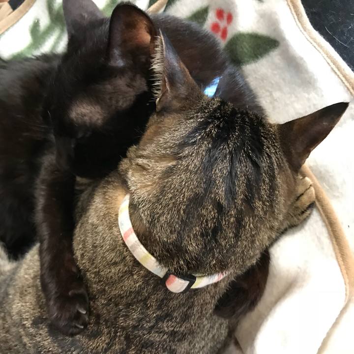 41cbbfd5 f176 47a4 8dfe 7f791845de8a 1524651783393