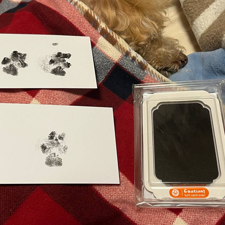 41cbd31f 65fa 4400 a51f 0124f84d0537 1768276852833