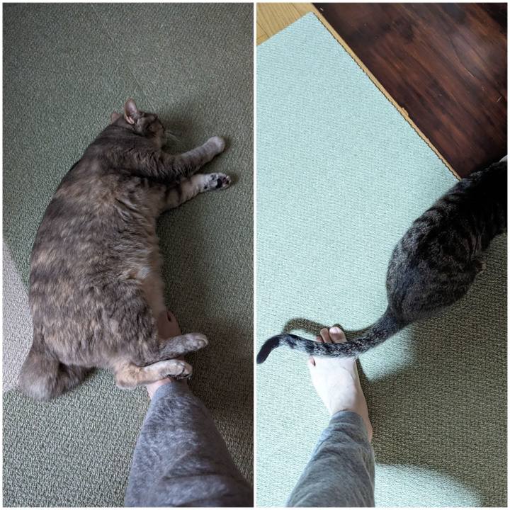 41cc2e53 0e29 433d a309 d1c3eaf76017 1710648077001