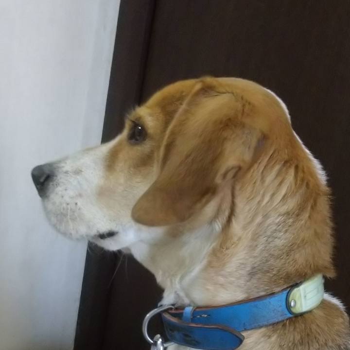 41cc4ac8 949f 4e0e b16c b251c882c020 1612431866309