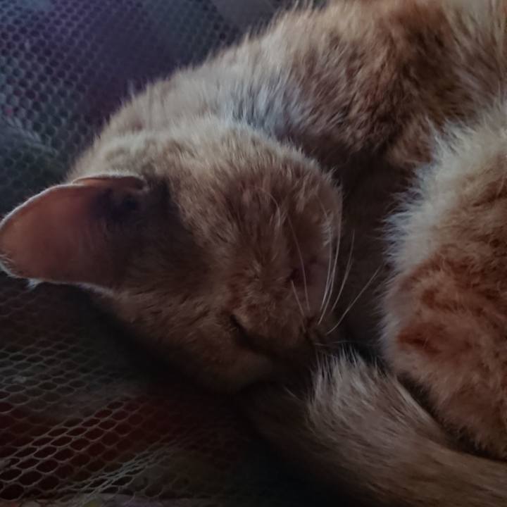 41cc4b84 aeca 45cb aeeb fee1d75d04d9 1554584838107