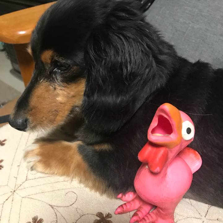 41cc9547 6d60 4f78 a112 9c39d497746c 1533762356671