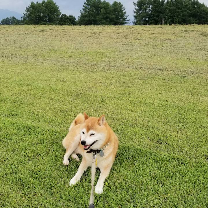 41ccda14 b479 40c6 81d4 d71402af648f 1626248319492