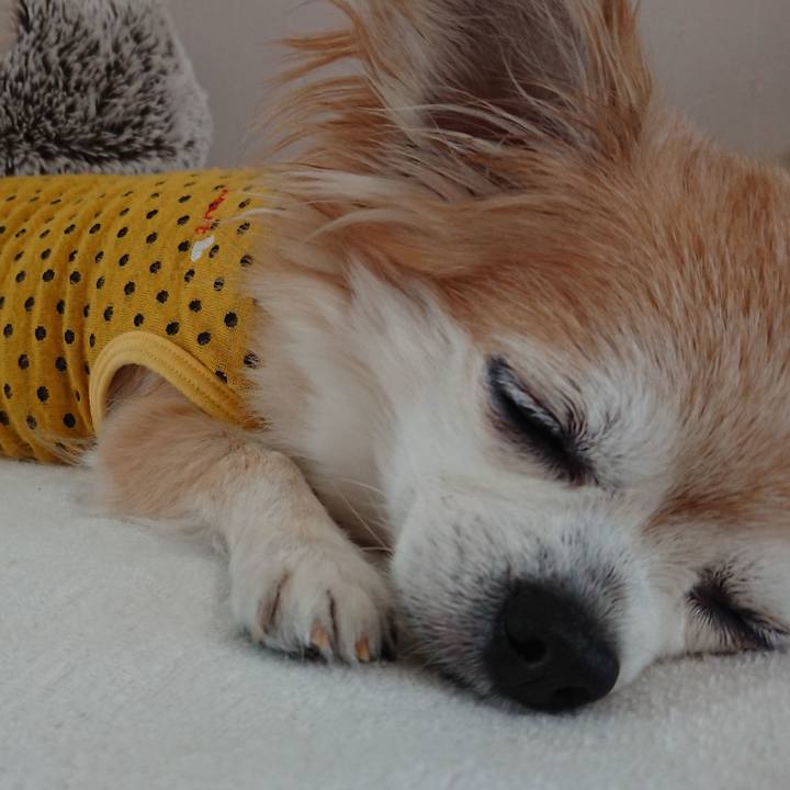 41cd0440 7324 49f7 8818 0afffdf9bdd8 1547989160736