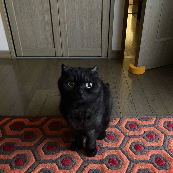 41cda429 196e 48de add6 55b67b5f28b7 1607912301585