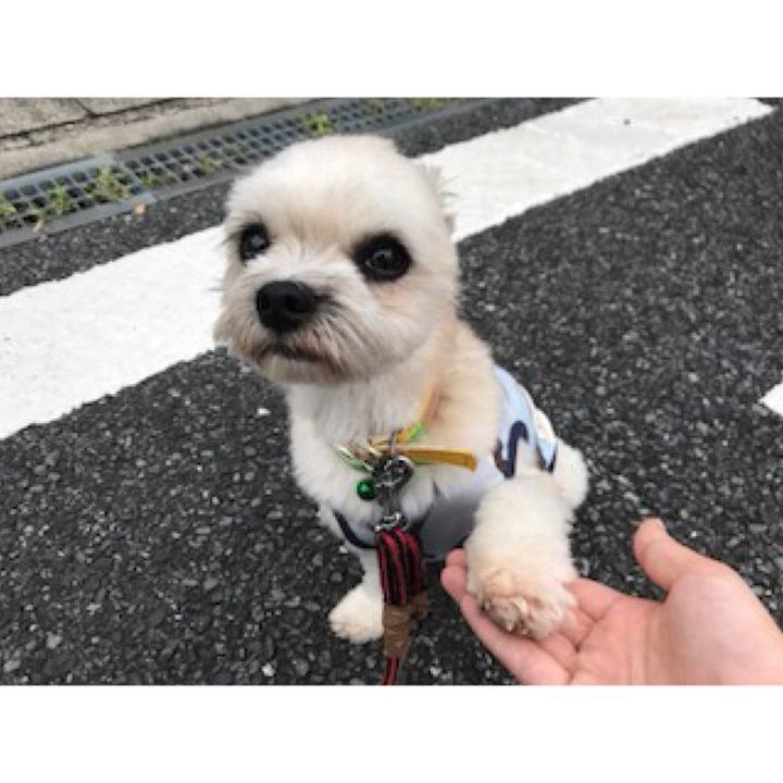 41cdad2d daec 4eab a3d0 a2114907039a 1536229744265