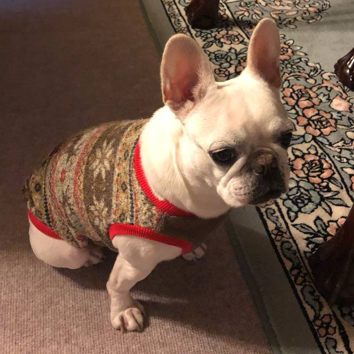 41cdb026 881e 498d 9bcb 778576173dc2 1574413939621