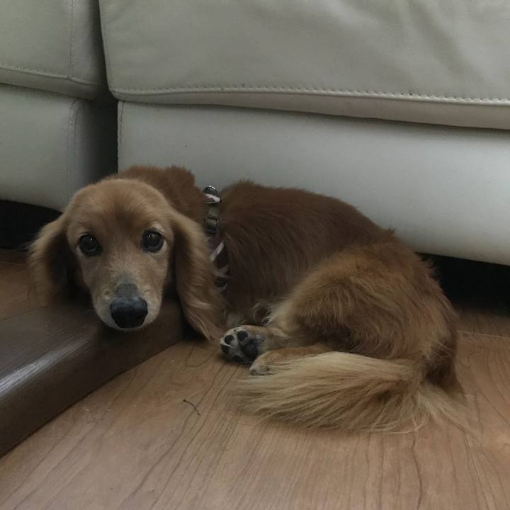 41cdbdb7 417f 4c6f a369 e86336f8dc1f 1524791480399