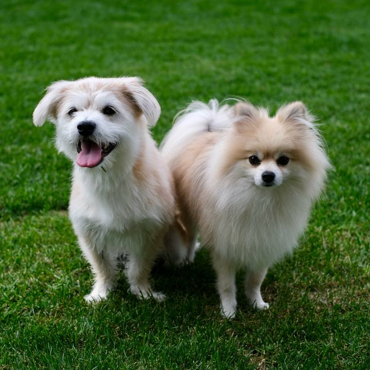 41cdbf14 902c 40ff a6b0 63dab5f00377 1760223350022