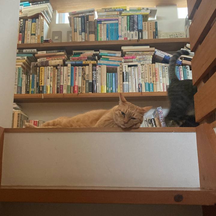 41cddf9b 0f87 4f8e a88f ec4bcab8c0fc 1752969747624