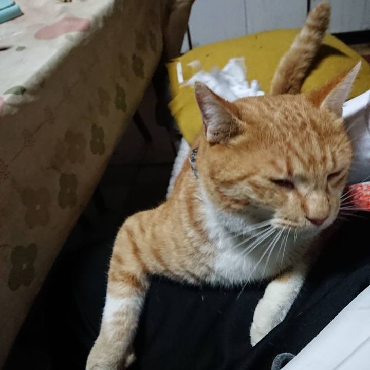 41ce214f e39d 4e17 9b1c bb620e4198a4 1573719499229