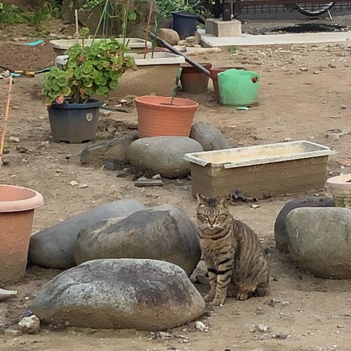 41ce60b5 996b 4a84 b8d6 42879577a777 1524396700574