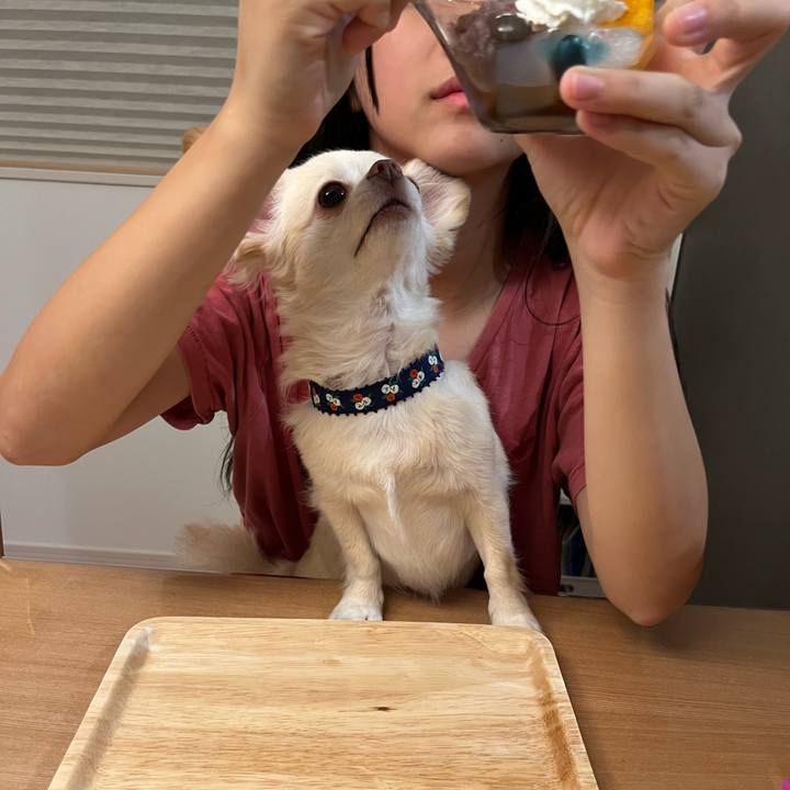 41ce7c99 b8c3 4446 97ea b0f2ddaa5fa6 1725026793576