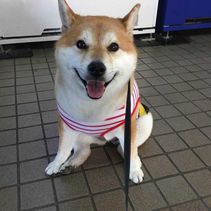 41ce96ba 8ada 4364 a7f0 4a319d29980c 1569281917732