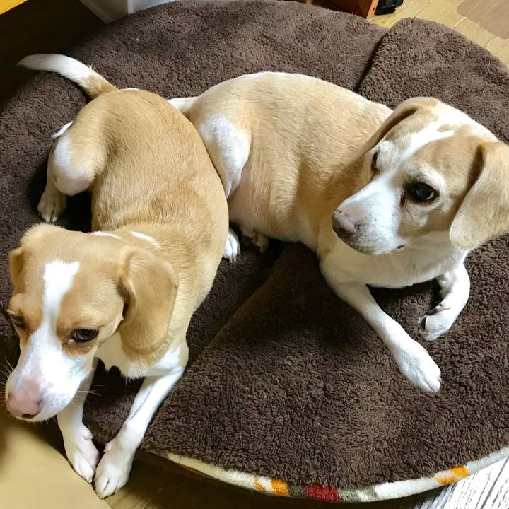 41cea6f7 3b89 47a3 a6b8 392fc7cd2edc 1643193153674