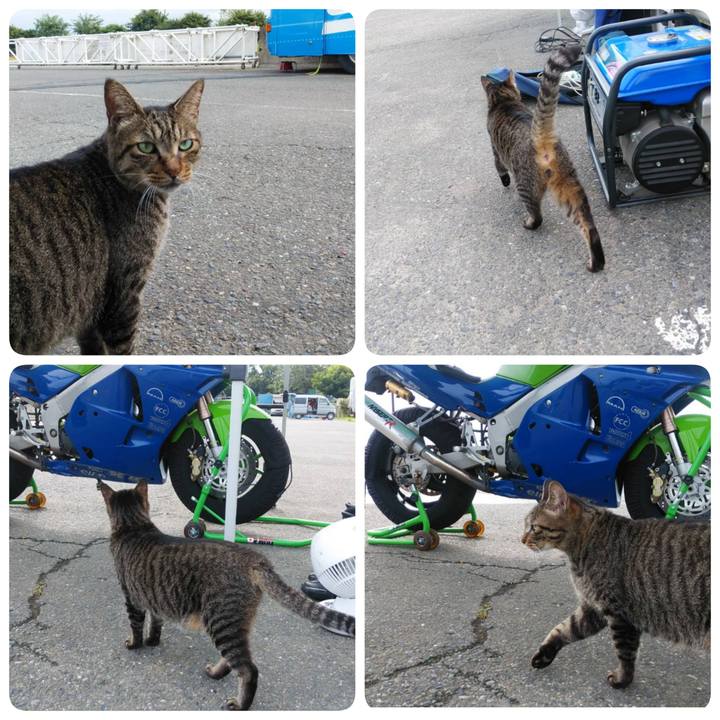 41ceab06 07e6 4321 a4ee 2ff1bde9925d 1598919915061