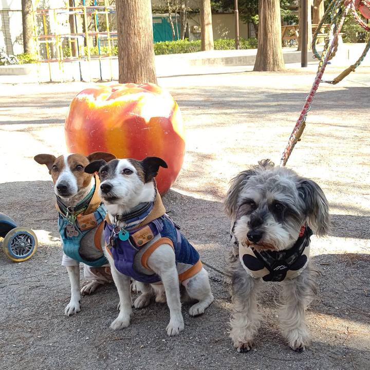 41cec2ff cf2c 47bf 9ee1 2a048c990b54 1707557201315