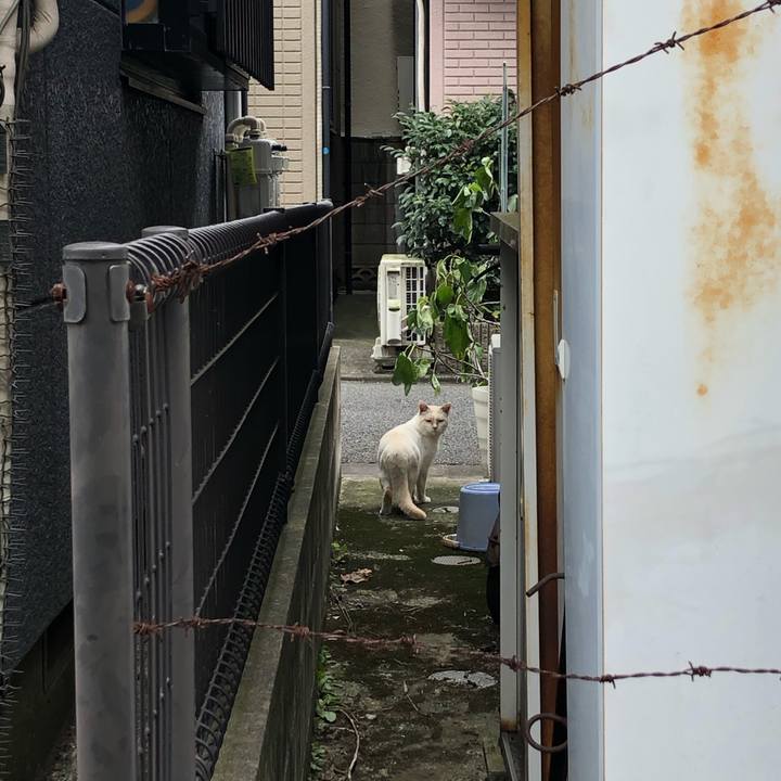 41ced1f5 87fe 4430 a106 837bb70fb056 1606143817990