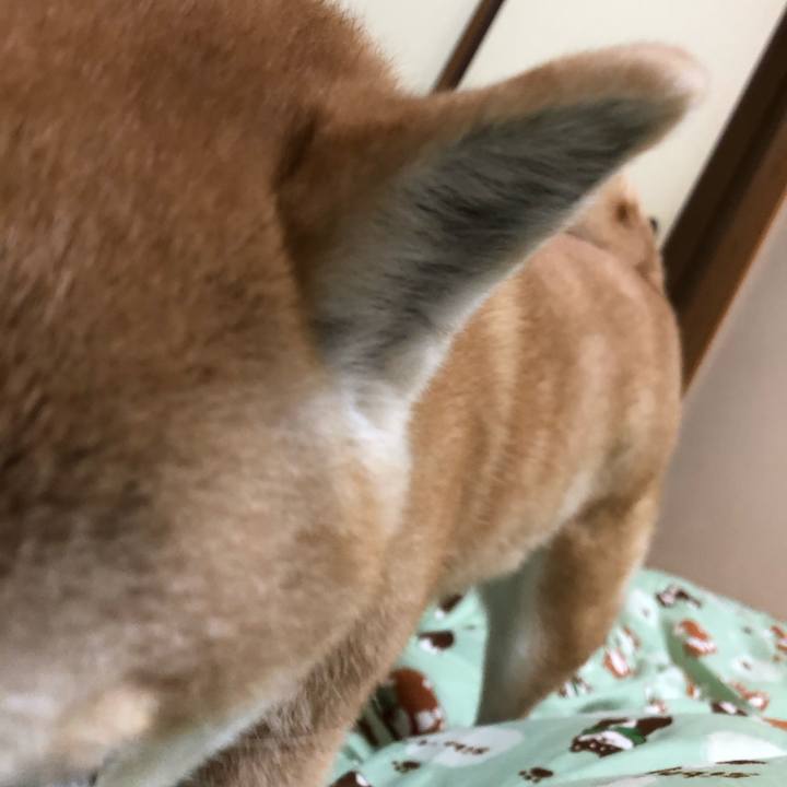 41cef22c 64ed 4550 9aee 0d5cb03f7a0e 1582641497302