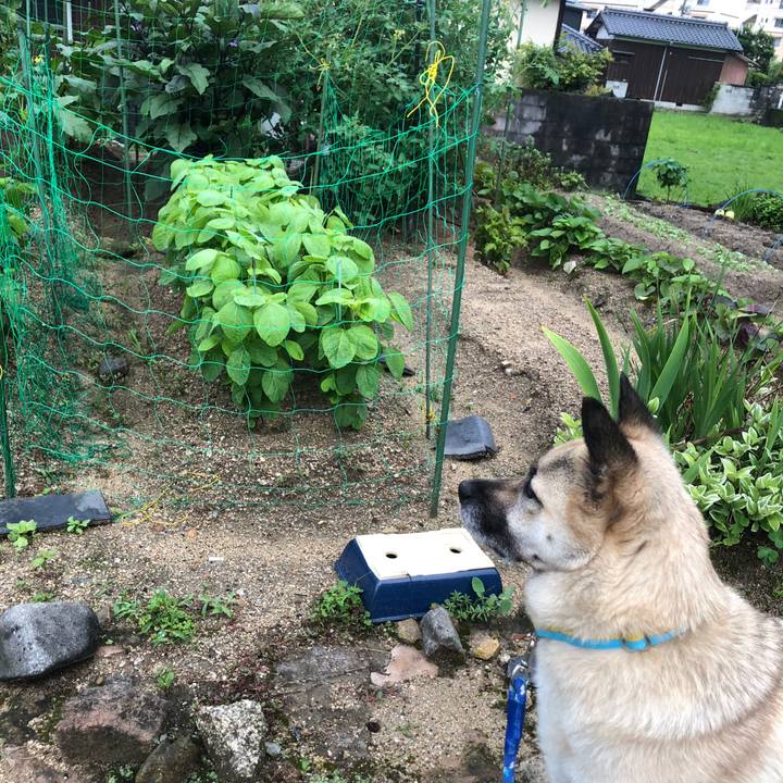 41cf4976 57a1 414d bf76 e7b9acb7b6b3 1593519006019