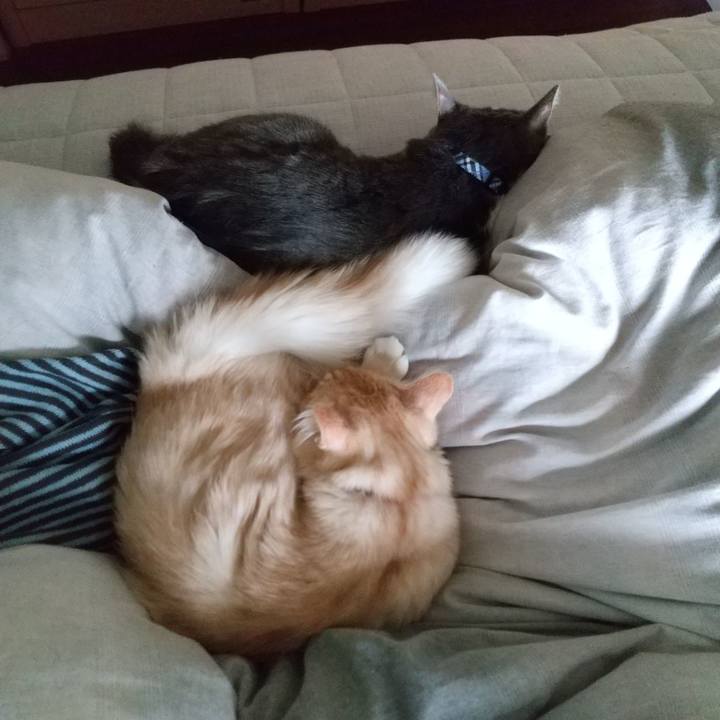 41cf52a8 8338 4840 8303 41b331b11f1e 1616198953911