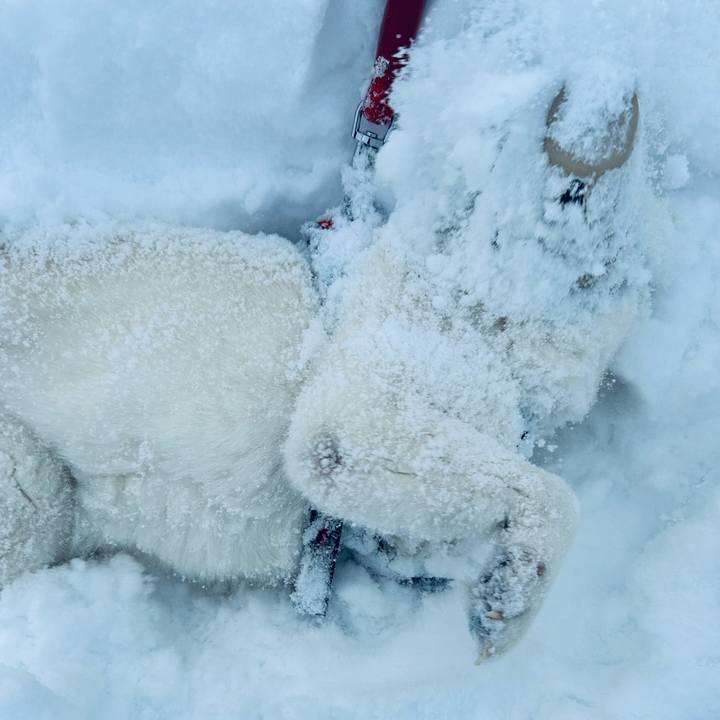 41cf793f e3b9 4e14 989f 5b07cf3fa415 1707607029726