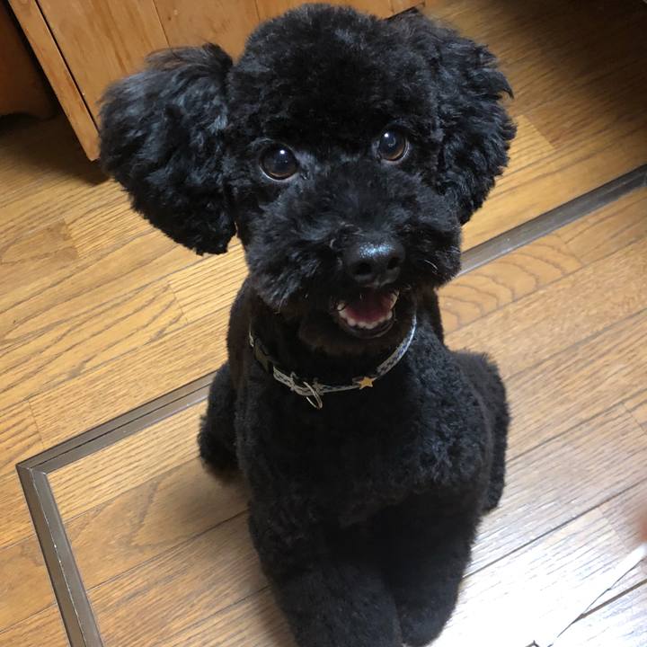 41cf8560 ba74 4b2a 9cd4 516e6d708b78 1535167203396