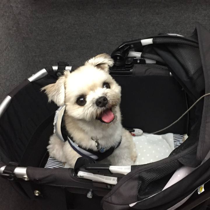 41cf8a73 c547 45e3 94fd abbcae18d1ac 1537165452539