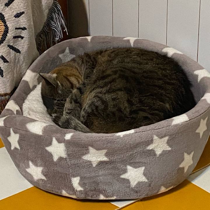 41cf94a6 a68e 45e6 a98b 00eda9fc49ae 1712662253636