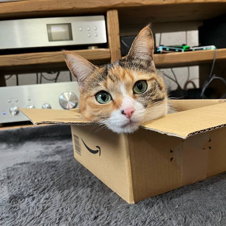 41d00bf5 6e7d 4b30 8235 be517cd0c682 1671371287742