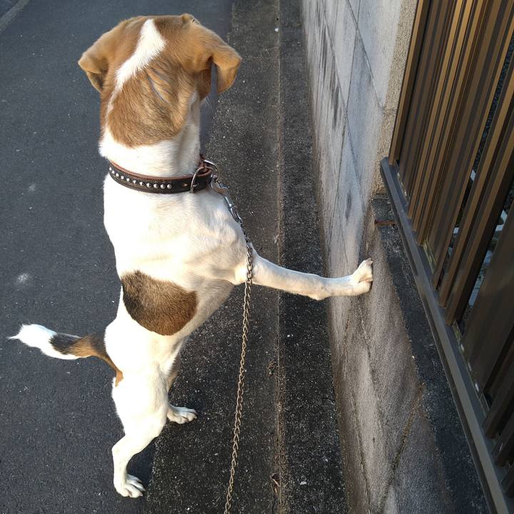 41d03287 b61a 4b35 98a3 d4533ad7a3b2 1642313831918