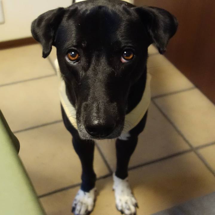 41d05974 95b5 4a2c bd6d 7a6982737a42 1621729216101