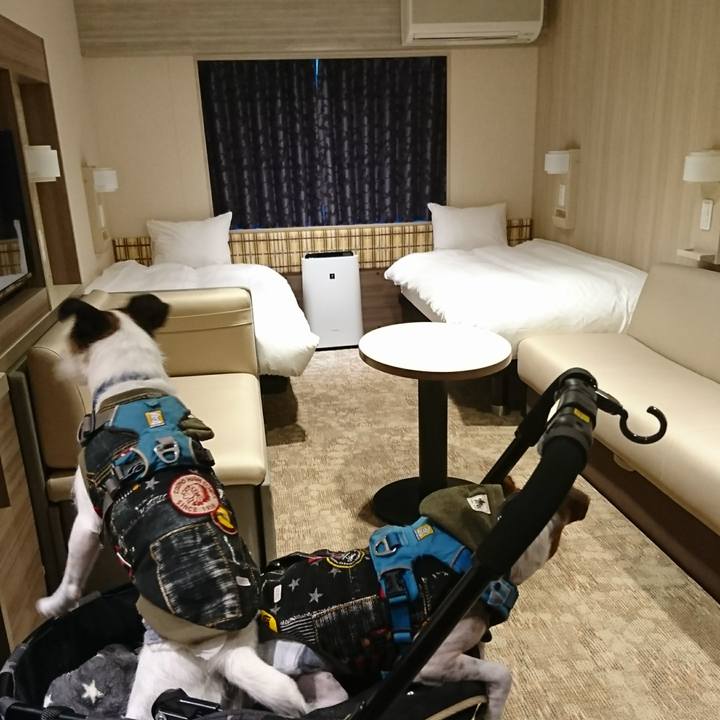 41d05af1 31f8 445e badd e6bc71d6152f 1606293186723