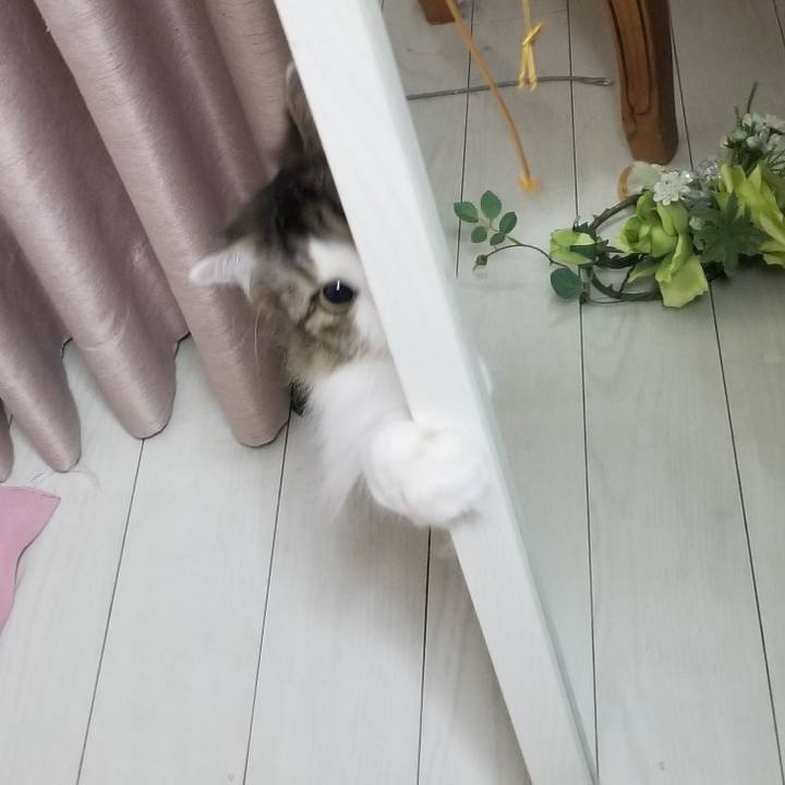 41d067b3 4298 47f8 85b0 017acd555d5f 1579124440372