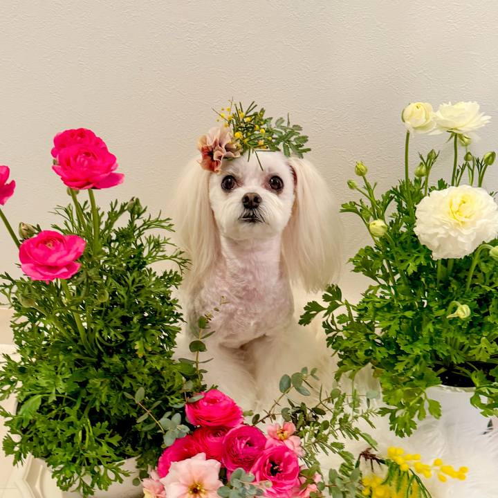 41d08b7a 9df0 4a38 9850 0eab3086e43d 1710337340441