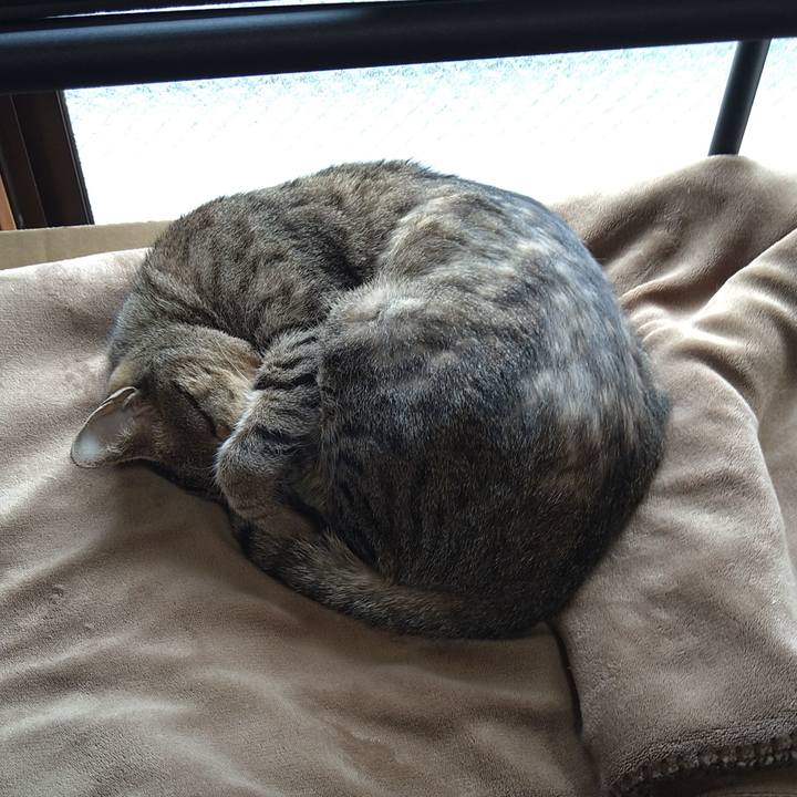 41d09c71 d364 45c7 9c6b 89a501deb384 1649214441125