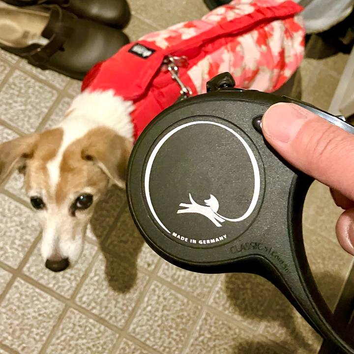 41d0a243 85b2 49a7 a07b de28bf5dce8a 1706191006052