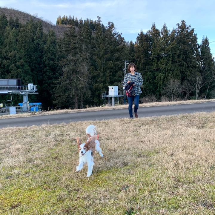 41d0cdce 81d8 4a63 b58b 63910cd138a6 1577261118622