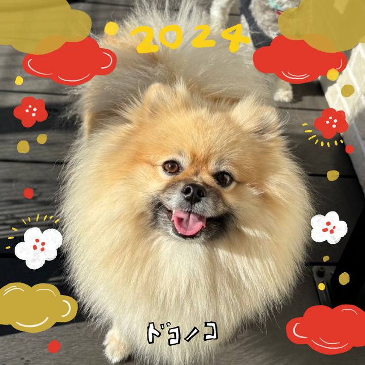 41d10c1a 7d39 4a1e aa68 21e88b100f45 1704084566955