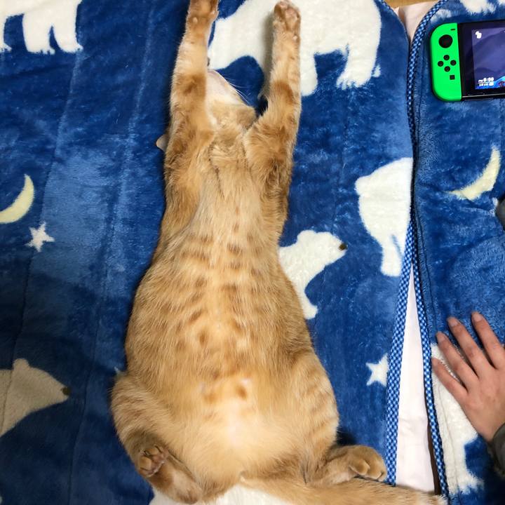 41d11356 bd48 45e1 a910 db49d5c74646 1618835807564