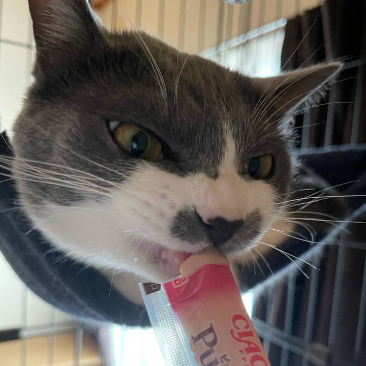 41d1220a 39c2 4d8a 9f44 4b14c9f7a3b7 1659944193148