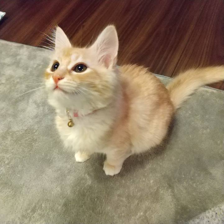 41d125f7 6b1e 447d bc3e 184f2b4bacaa 1606259647871