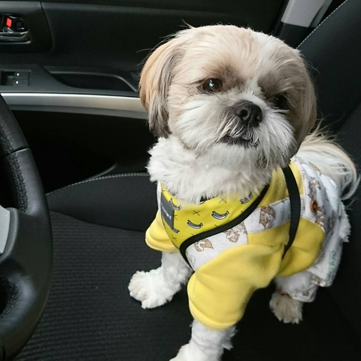 41d13475 bbbe 4163 b5e2 ded585b6e085 1551588676016