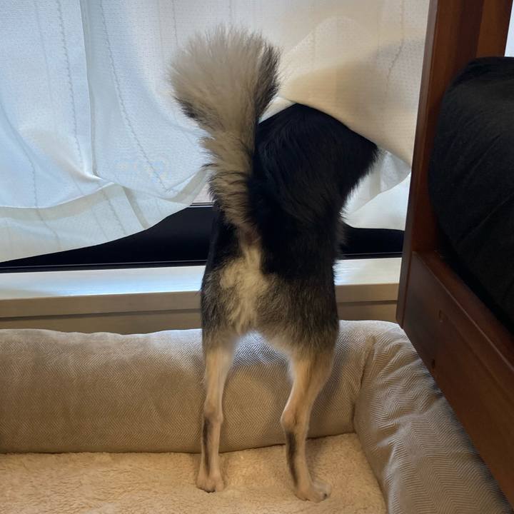 41d1393b 29b1 4a39 839c 6487c87226b1 1626558917642