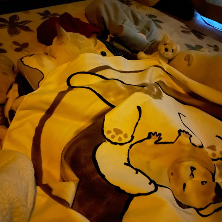 41d1ade4 e6d0 4bd7 be43 88ee69dada9b 1680122799301