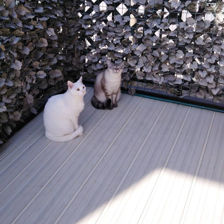 41d22bf2 13c9 4c7c a9a4 318d93706d71 1555547030326