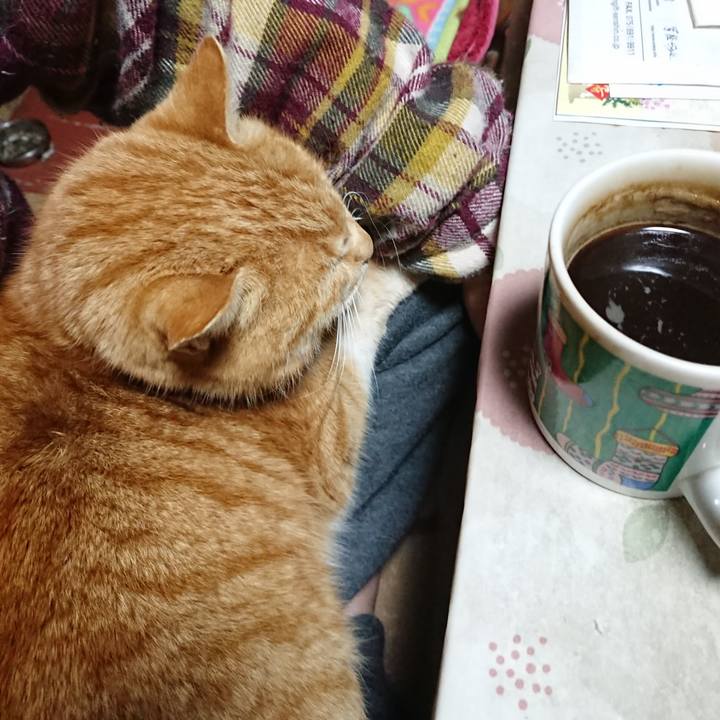 41d23ecd 64bb 41de ba32 c211f049814b 1580674062297