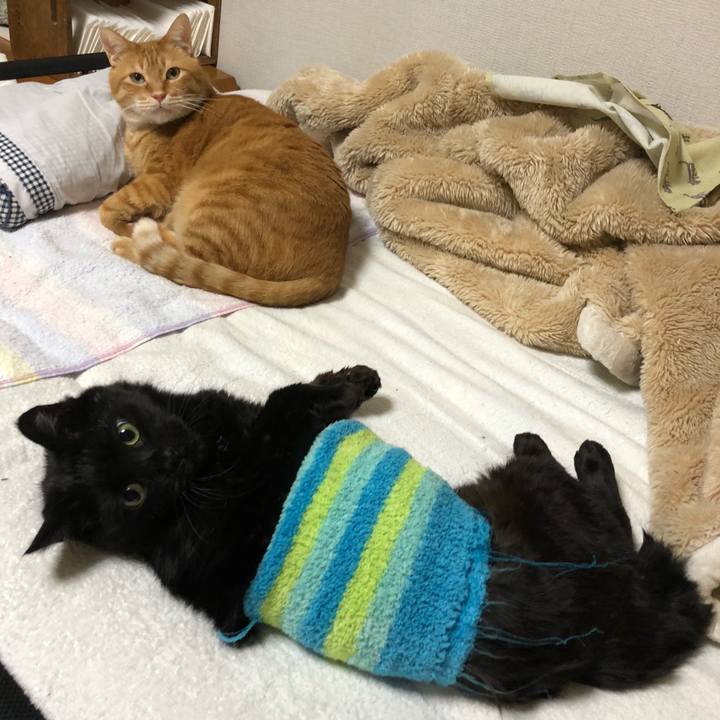 41d24c7d 27be 413f a29c 2fac88146d1f 1611782968577