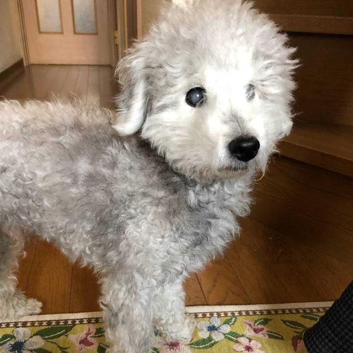 41d24fac 80b8 4d37 8aff 3b37138f56e9 1621912347224