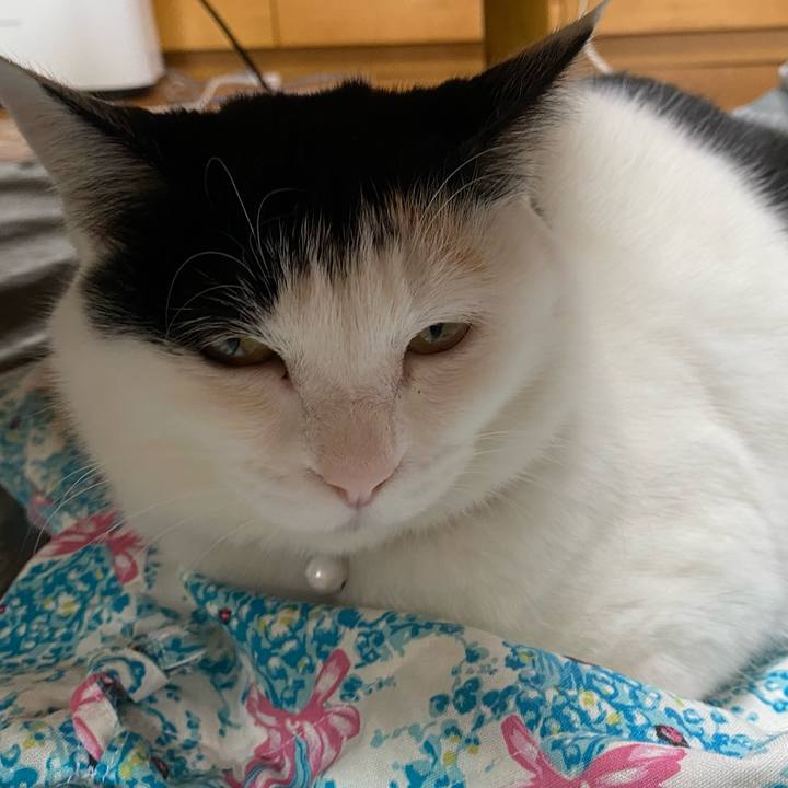 41d27478 43a2 4591 929e d66066ded29d 1649590101390